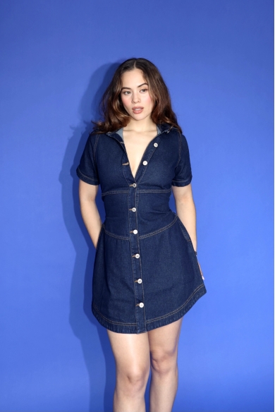 HONEY INDIGO DENIM DRESS