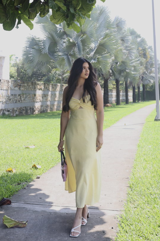 RAQUEL DRESS